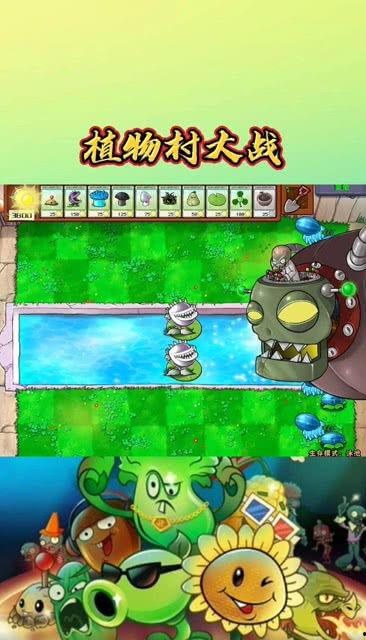 火影忍者植物人爆料视频,揭秘忍者世界的惊人真相